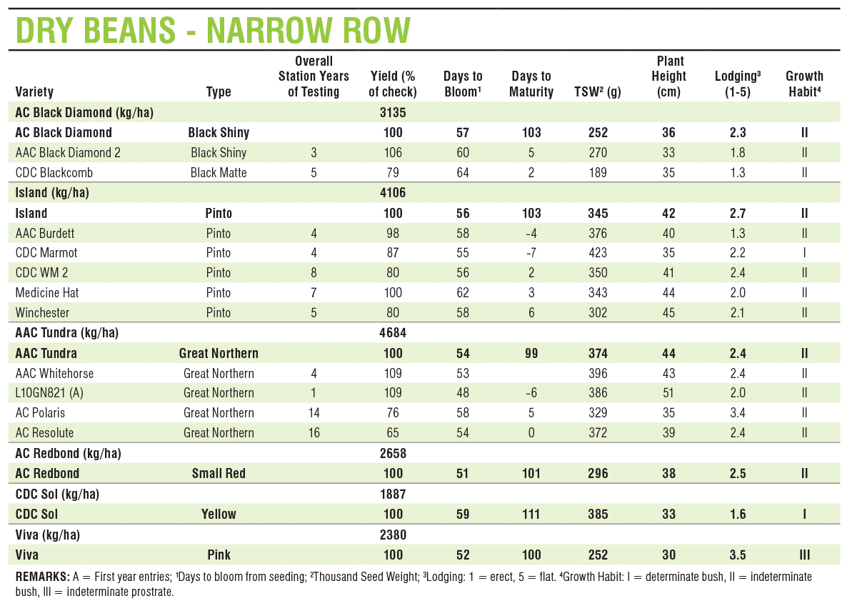 drybeansnarrowrow The Alberta Seed Guide