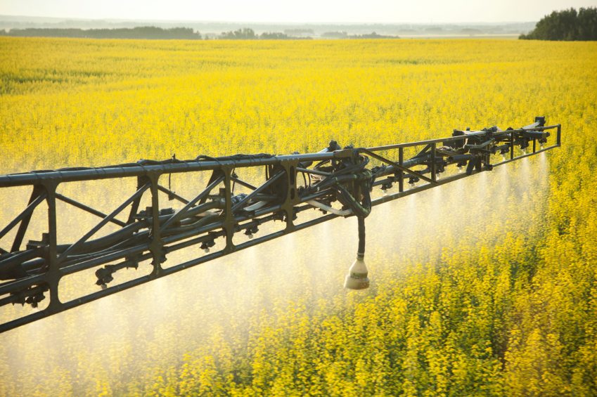Government of Canada to Discontinue Conditional Registrations for Pesticides