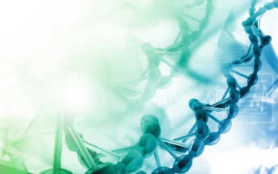 Gene-Edited Wheat, Next-Gen Oats and Cool Technology: Watch our New Webinar on Innovations in Cereals