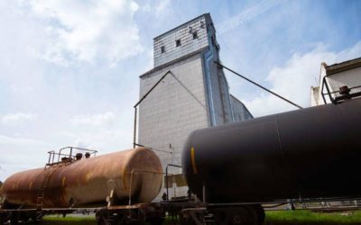 Licence Exemptions Examined in Grain Sector Consultation