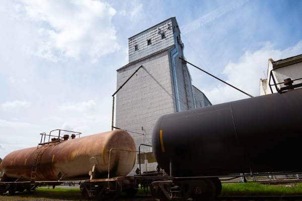 Licence Exemptions Examined in Grain Sector Consultation