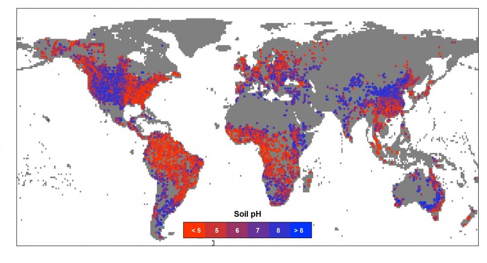 Soil pHertility