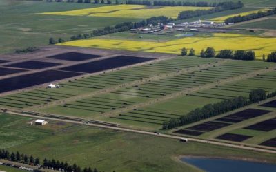 New Precision Seeding Field Demonstrations announced at Olds College