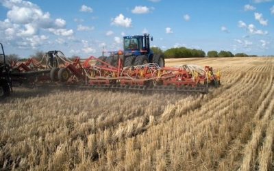 New canola calculator matches seeding rate to risk factors