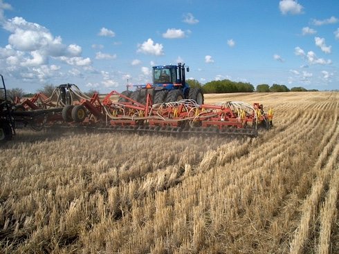 New canola calculator matches seeding rate to risk factors