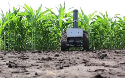 Agricultural robot may be ‘game changer’ for crop growers, breeders