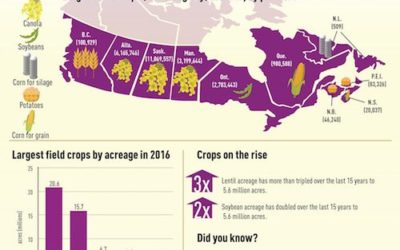 Seeding decisions harvest opportunities for Canadian farmers