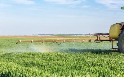 Health Canada approves glyphosate