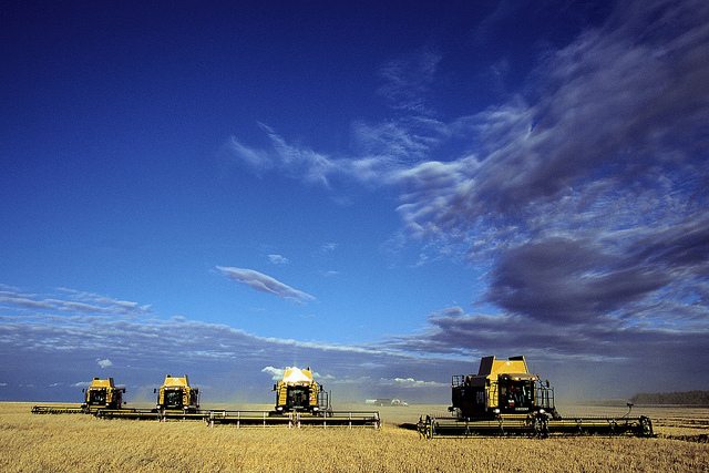 Recognizing a Century of Alberta Farming and Ranching Dedication