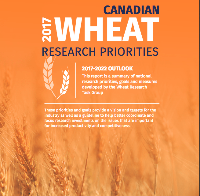 wheat research paper 2021