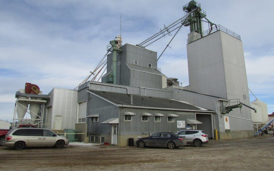 Alberta’s First Seed Plant Doesn’t Act Its Age