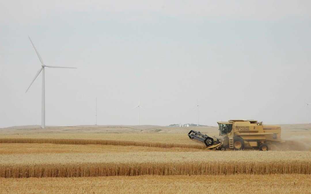 Wind Farms Positively Impact Crops, U.S. Study Says