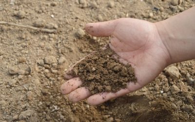 Get The Dirt On Soil In Alberta