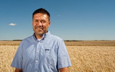 Crop Scientists Help Crack the Durum Wheat Genome