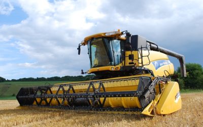 Timing Questions: Swathing and Pre-Harvest Aids