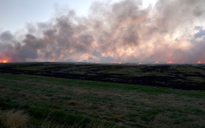 Dealing with Harvest Farm Fires
