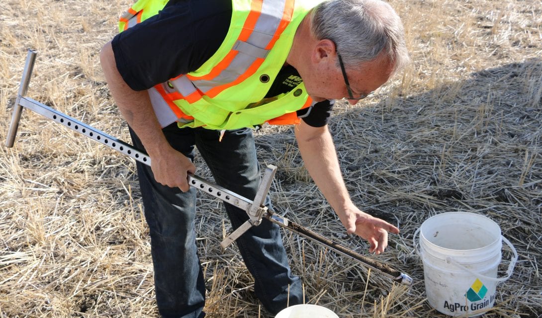 Soil testing