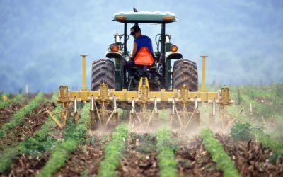 Feds Launch Public Consultation Period on Ag Labour Shortages