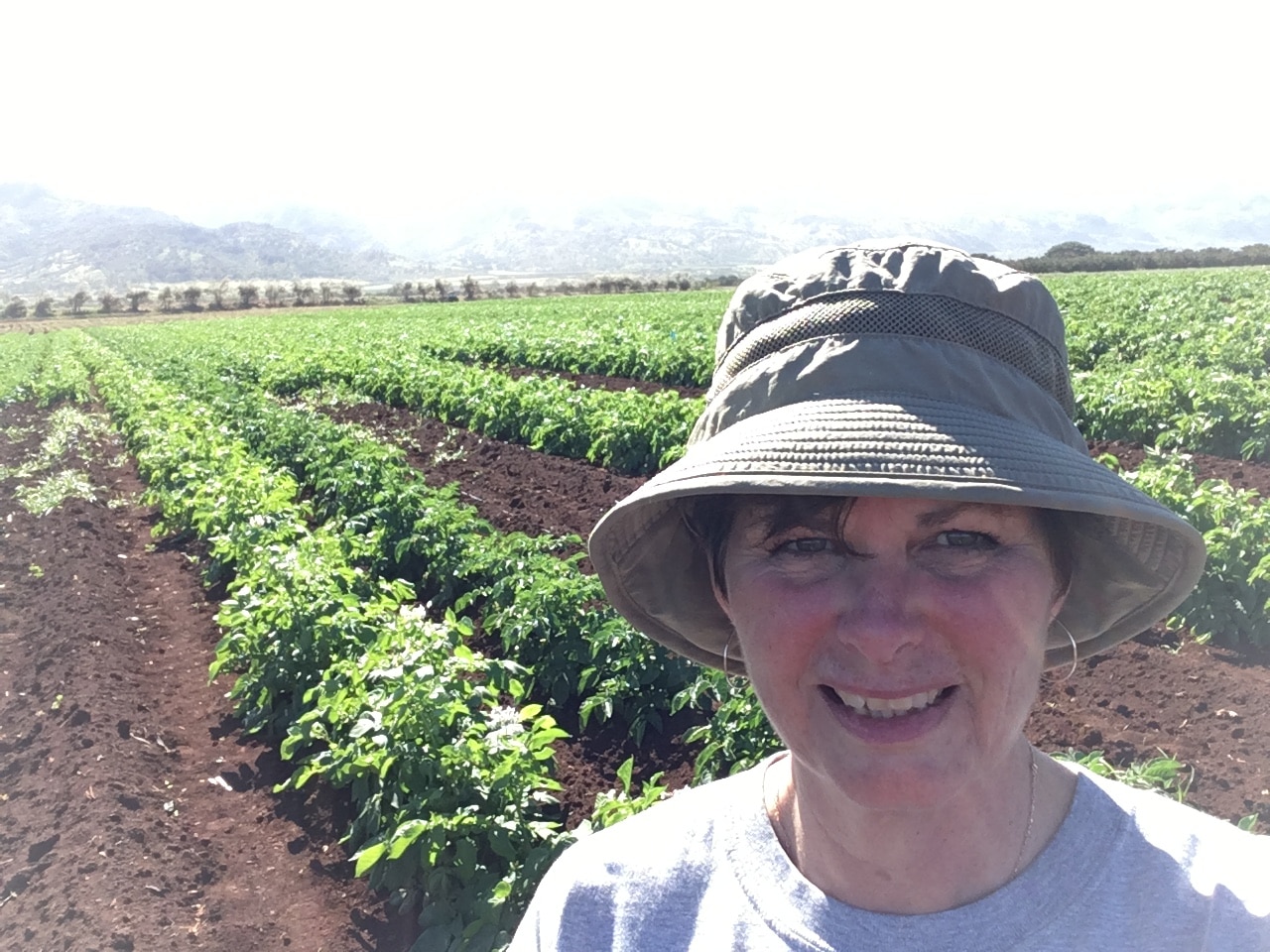 Deb Hart in a Hawaiin potato field