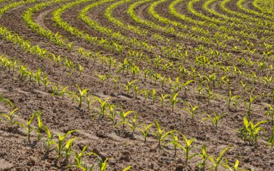 Prairie Farmers Receive $66 million for Sustainable Ag