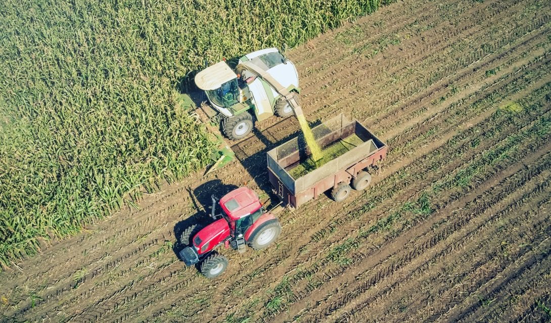 Agriculture cutting silage and filling trailer in field