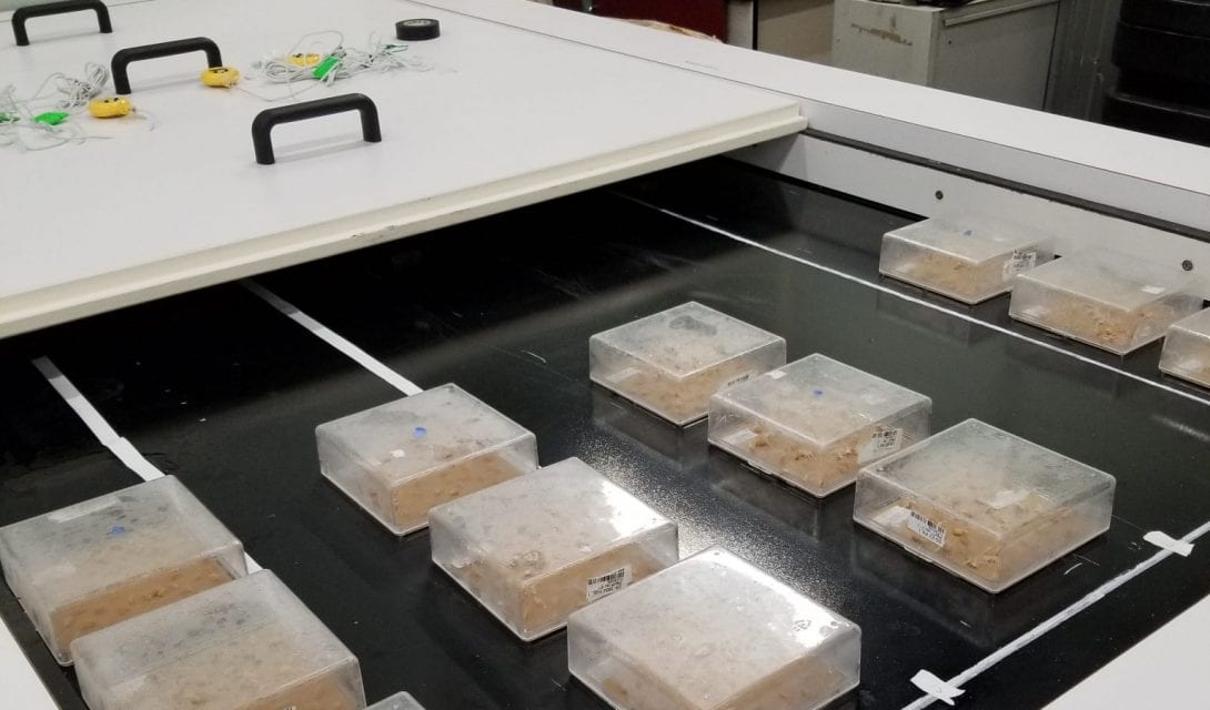 Thermogradient table