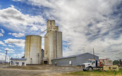 Changes to Canadian Grain Declarations