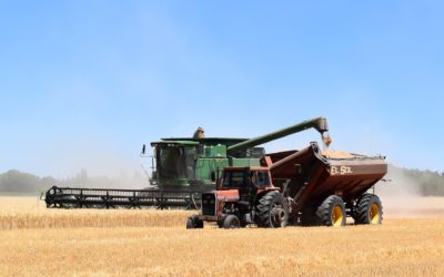 Harvest Nears Completion as Farmers Push Through the Final Stretch