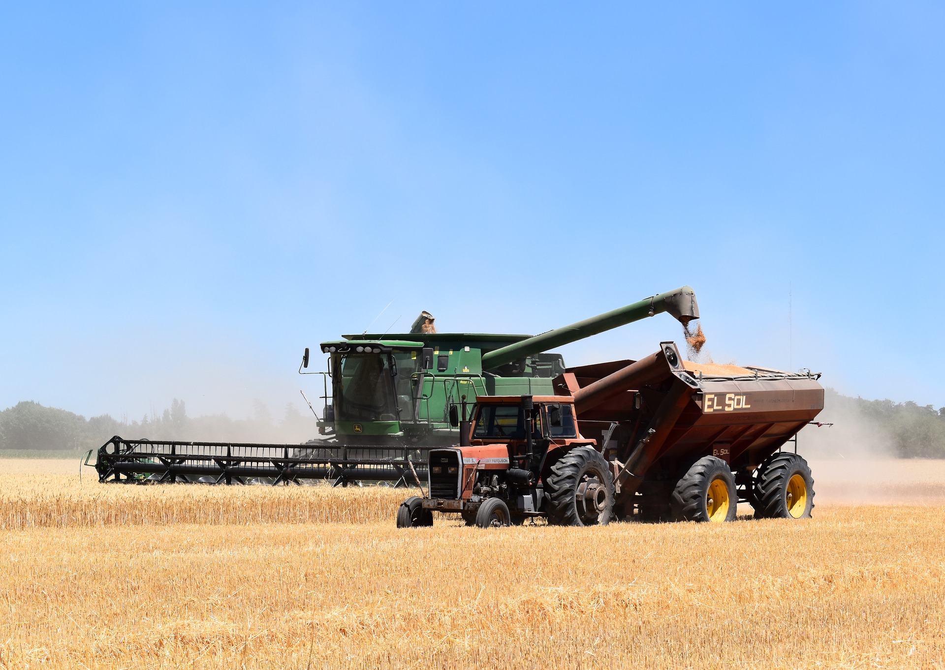 A combine harvests a crop