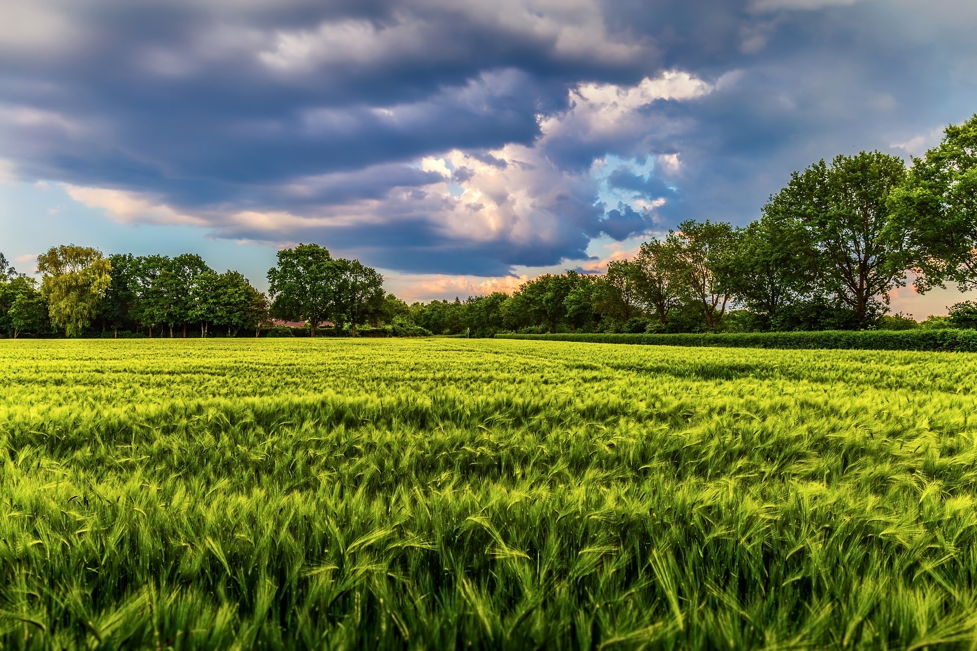 Storm over field