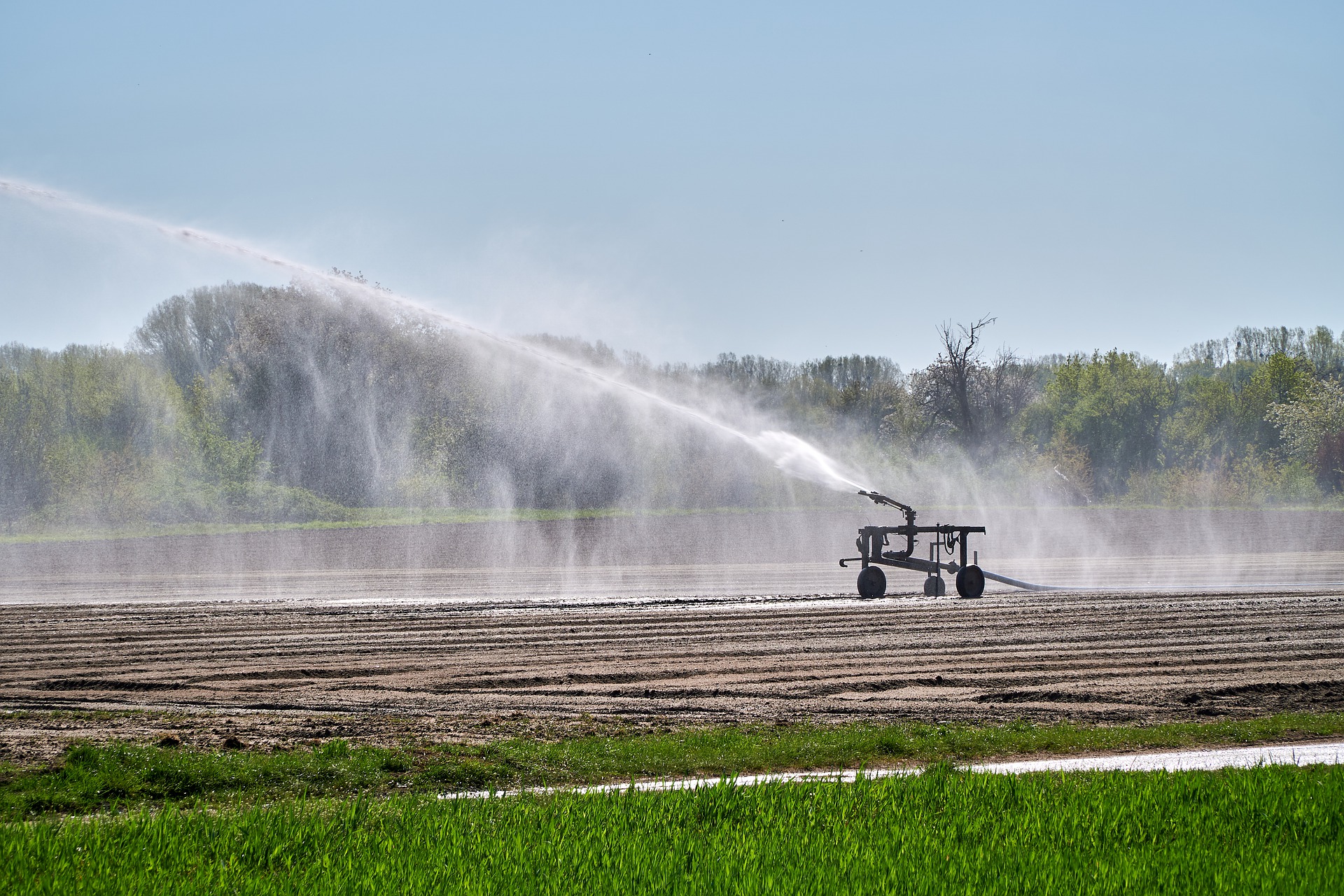 Irrigation in a field