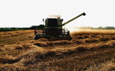 Alberta Harvest 65 Per cent in the Bin