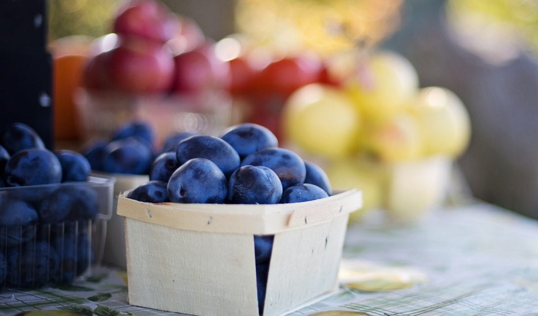 Fruit