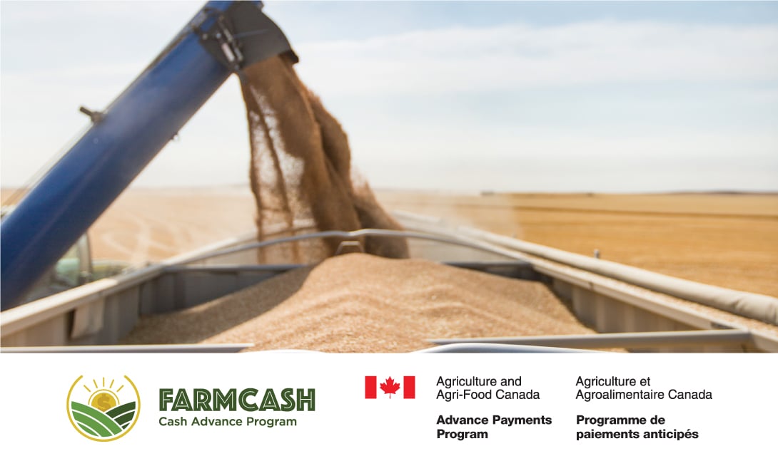 FarmCash grain unloading