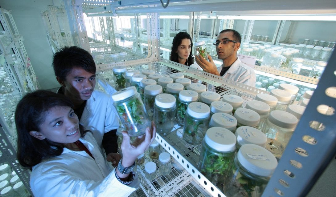 Laboratory research