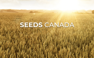 A New Vision for Seeds Canada is Put Forward