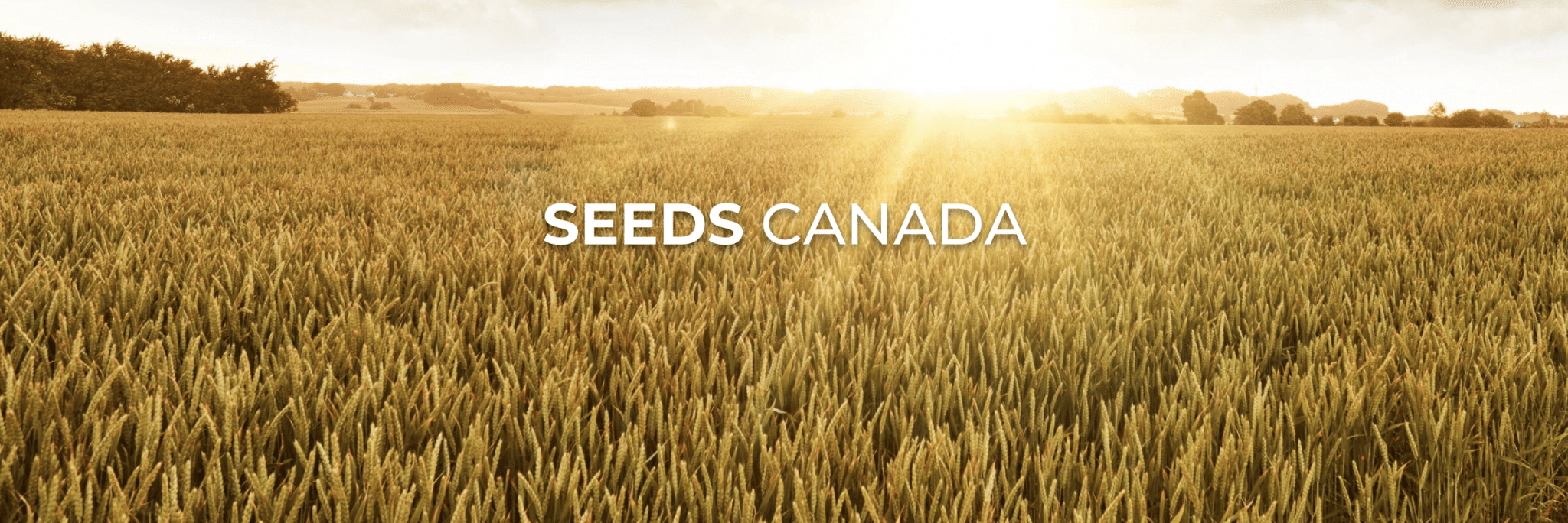 Seeds Canada
