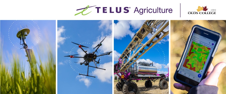 TELUS Invests $1 Million in Olds College Smart Farm