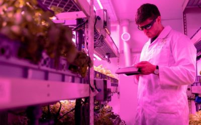 Moving Ag Research Forward Through Collaboration