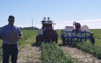 Study Looking to Increase Canola Emergence and Yield