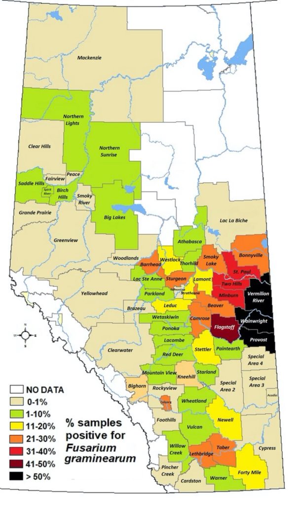 Alberta Fusarium infection map 2020