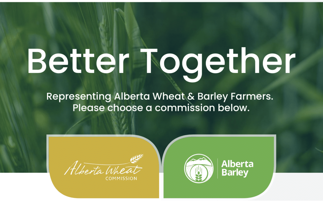 Alberta Wheat Passes Resolution for Vote on Alberta Barley Merger