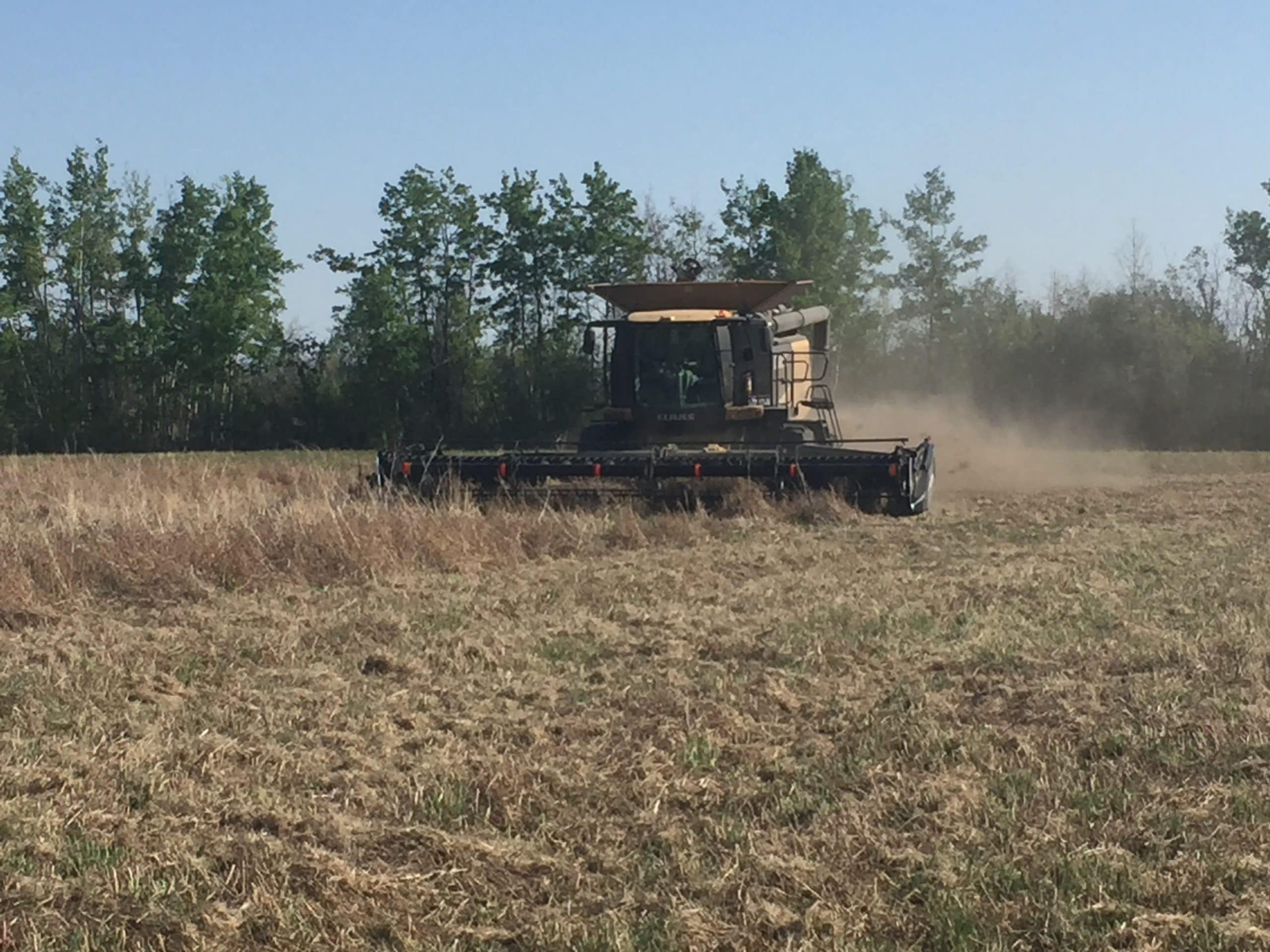 PW Farms Ltd. harvest