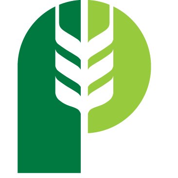 Pitura Seeds logo