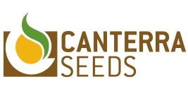 Canterra Seeds logo