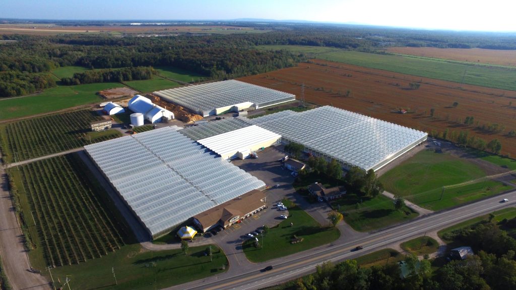 Canopy Growth's facility