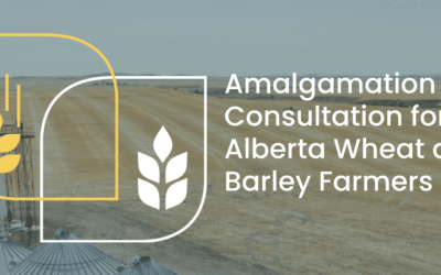 Alberta Wheat and Barley May Be Going from Two to One