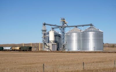 Feds Give $4.4 Million to Increase Opportunities for Grains