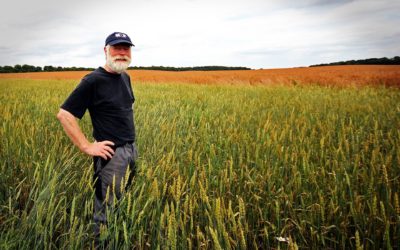 Canadian Census of Ag Shows Sustainable Ag Shift