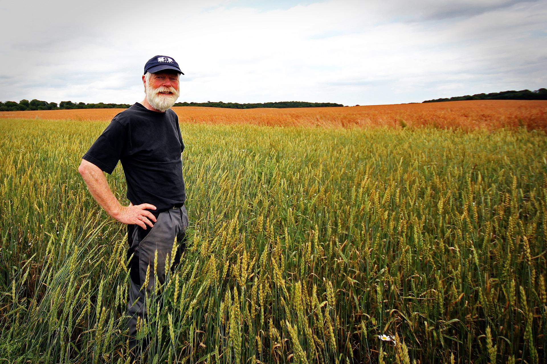 Farmer in field